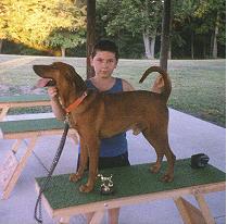 billy&CH.billy's red thunder